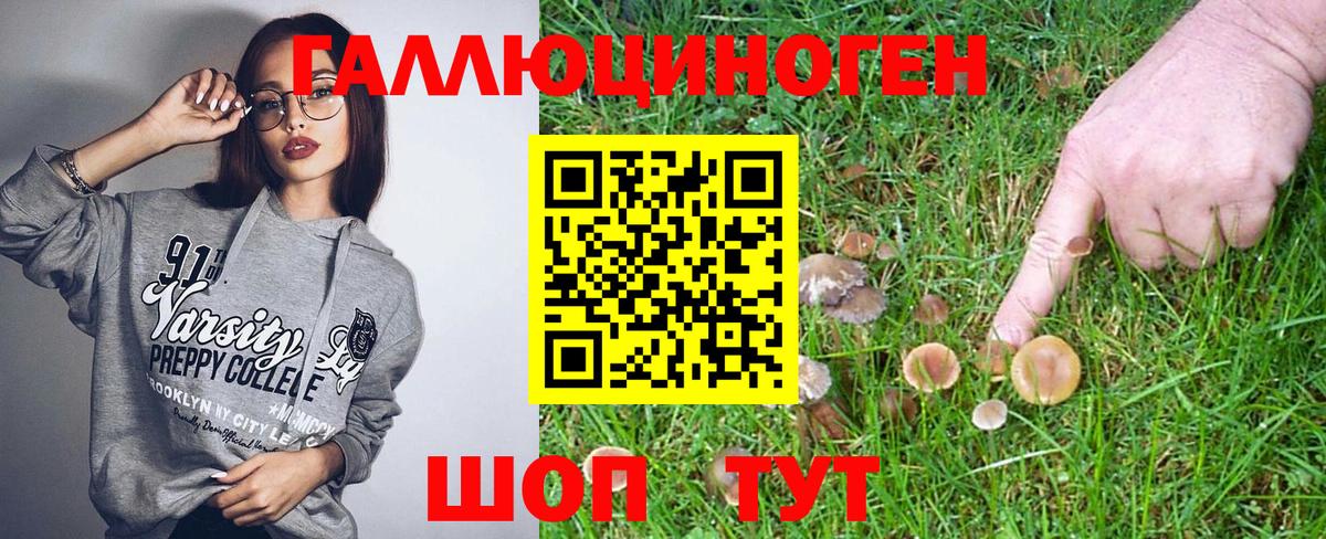 Псилоцибиновые грибы Psilocybe Кунгур